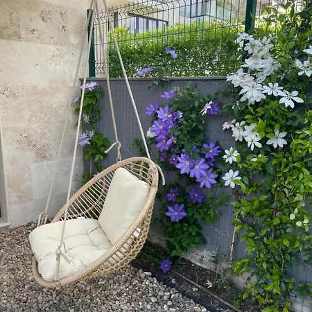 Buena Vista * Варна