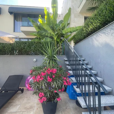 База отдыха Buena Vista *