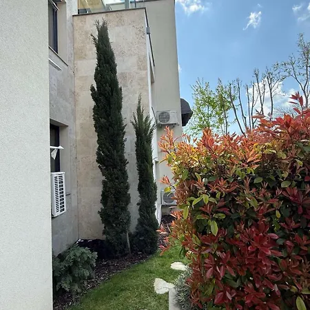 Buena Vista * Варна