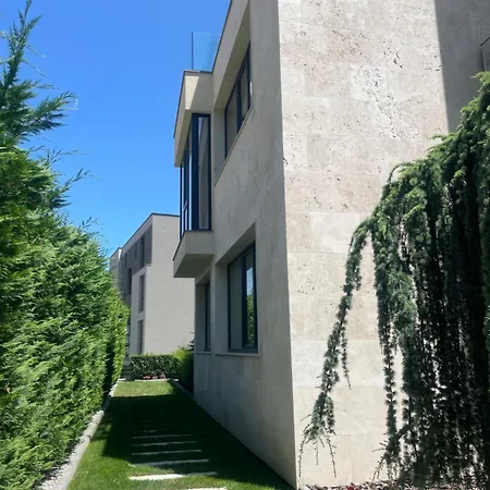 Buena Vista