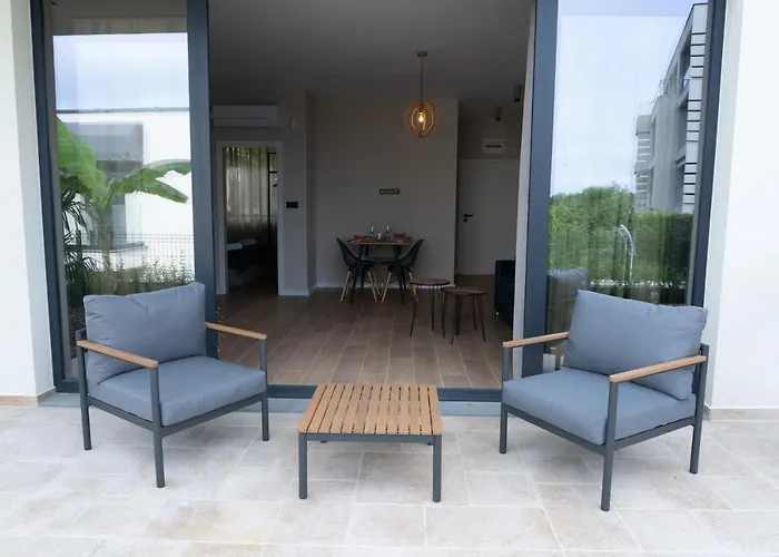 假日公园 Buena Vista