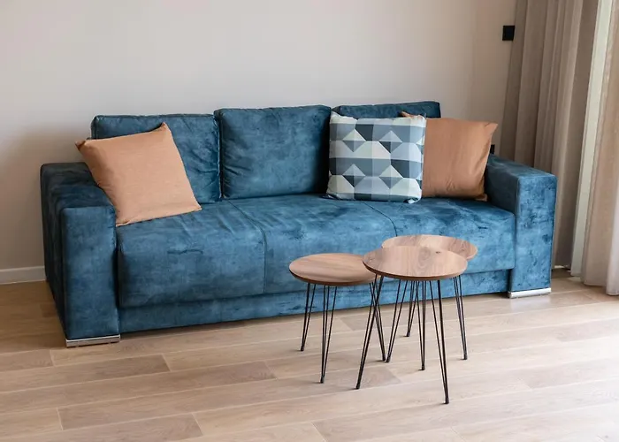 假日公园 Buena Vista *