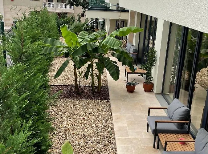 Buena Vista * 瓦爾納