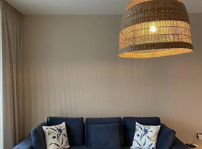 假日公园 Buena Vista *