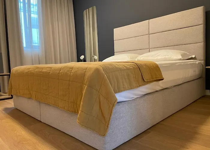 假日公园 Buena Vista