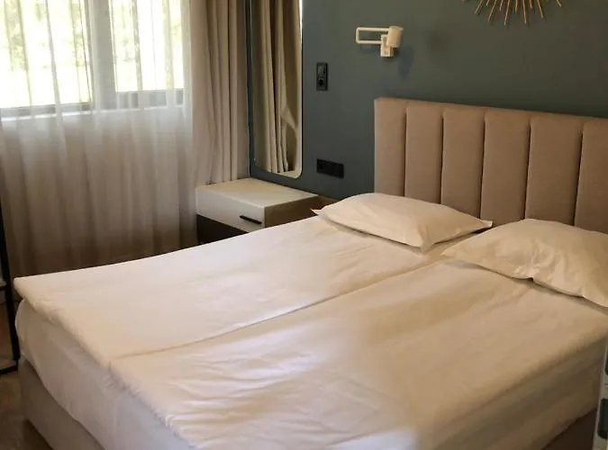 Buena Vista 假日公园