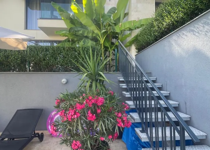 假日公园 Buena Vista *